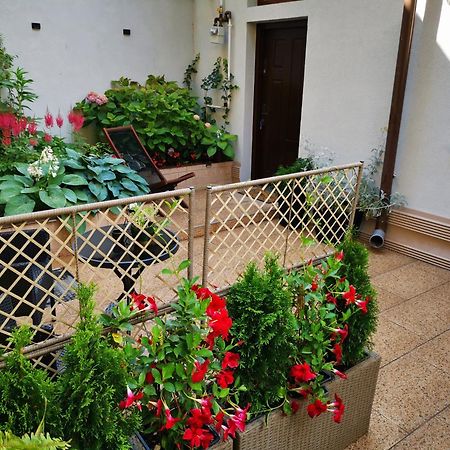 Cozy Green House Bukareszt Zewnętrze zdjęcie